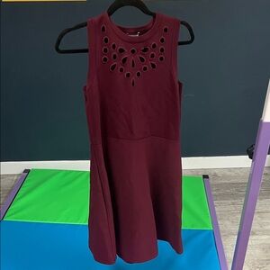 Express Burgundy Knit Sweater